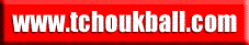 www.tchoukball.com